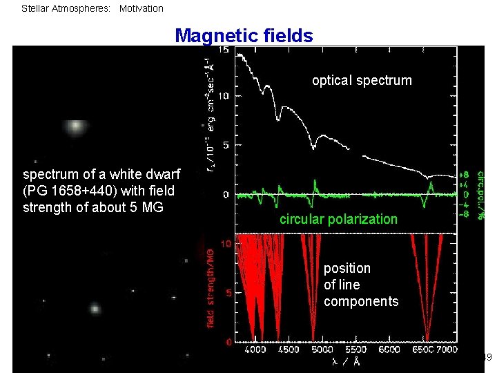 Stellar Atmospheres: Motivation Magnetic fields L optical spectrum of a white dwarf (PG 1658+440)