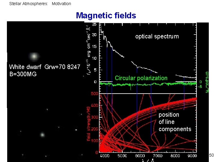 Stellar Atmospheres: Motivation Magnetic fields L optical spectrum White dwarf Grw+70 8247 B=300 MG