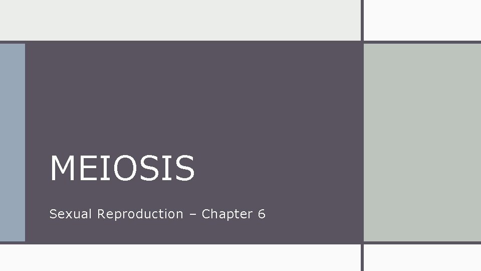 MEIOSIS Sexual Reproduction – Chapter 6 