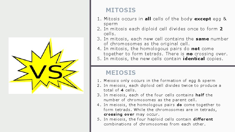 MITOSIS 1. Mitosis occurs in all cells of the body except egg & sperm