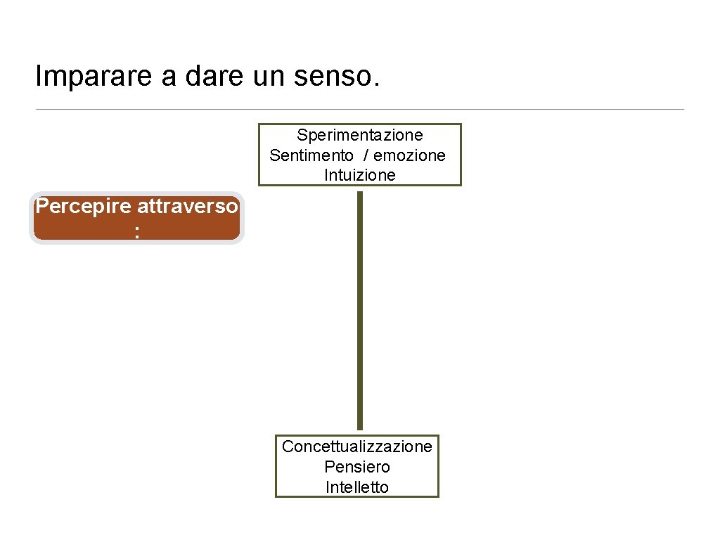 Imparare a dare un senso. Sperimentazione Sentimento / emozione Intuizione Percepire attraverso : Concettualizzazione