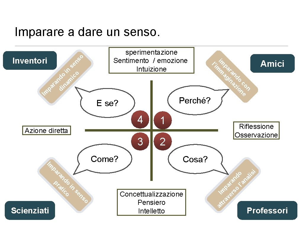 Imparare a dare un senso. o di ndo na m in s ic o