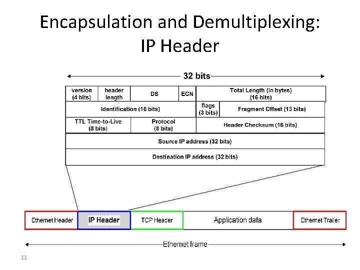Encapsulation and Demultiplexing: IP Header 11 
