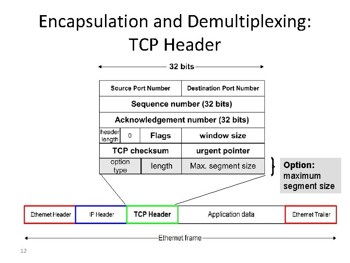 Encapsulation and Demultiplexing: TCP Header Option: maximum segment size 12 