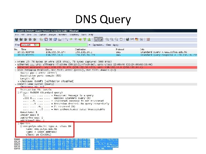 DNS Query 33 