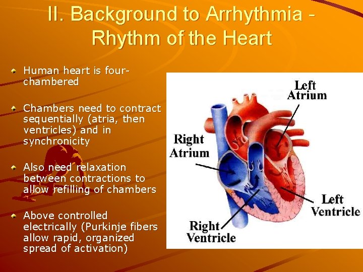 II. Background to Arrhythmia Rhythm of the Heart Human heart is fourchambered Chambers need