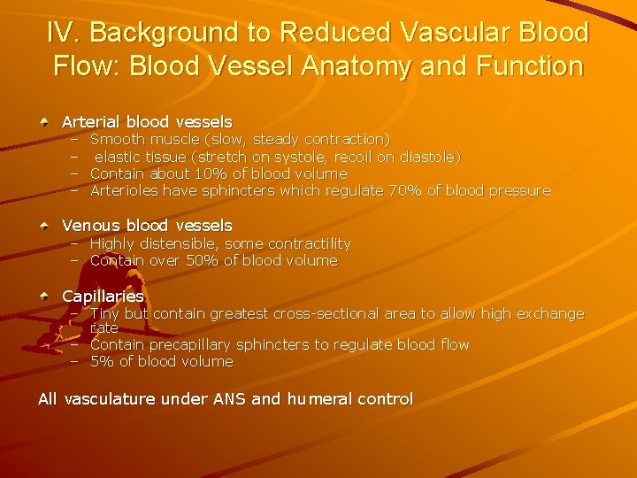 IV. Background to Reduced Vascular Blood Flow: Blood Vessel Anatomy and Function Arterial blood