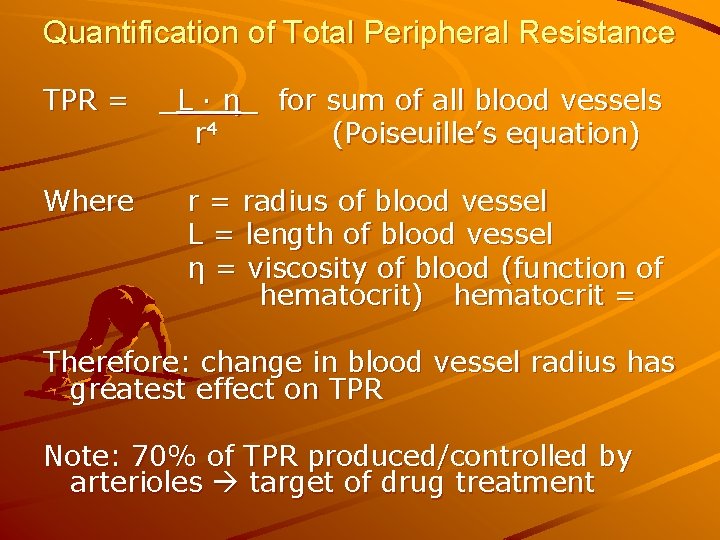 Quantification of Total Peripheral Resistance TPR = _L · η_ for sum of all