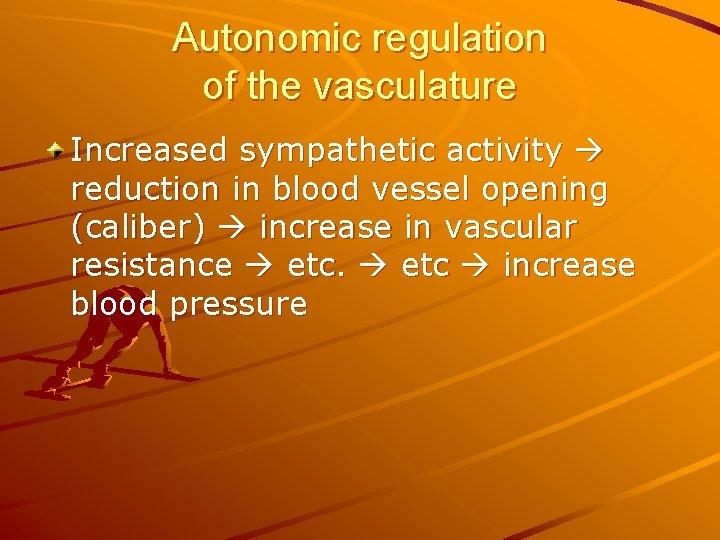 Autonomic regulation of the vasculature Increased sympathetic activity reduction in blood vessel opening (caliber)