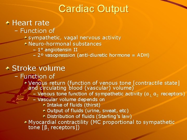 Cardiac Output Heart rate – Function of sympathetic, vagal nervous activity Neuro-hormonal substances –