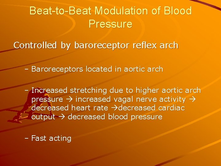 Beat-to-Beat Modulation of Blood Pressure Controlled by baroreceptor reflex arch – Baroreceptors located in