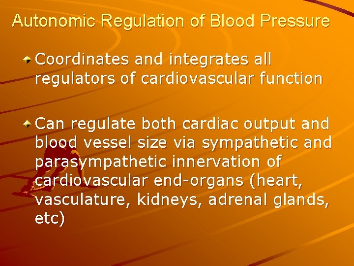 Autonomic Regulation of Blood Pressure Coordinates and integrates all regulators of cardiovascular function Can