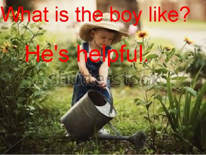 What is the boy like? He's helpful. 