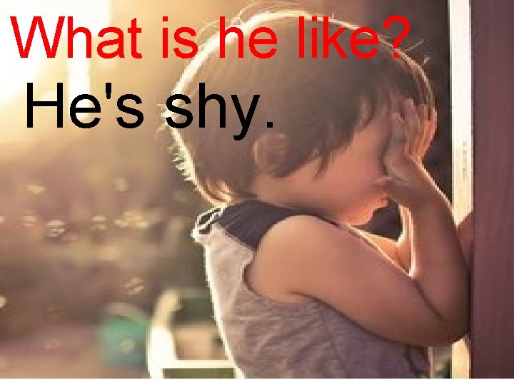 What is he like? He's shy. 