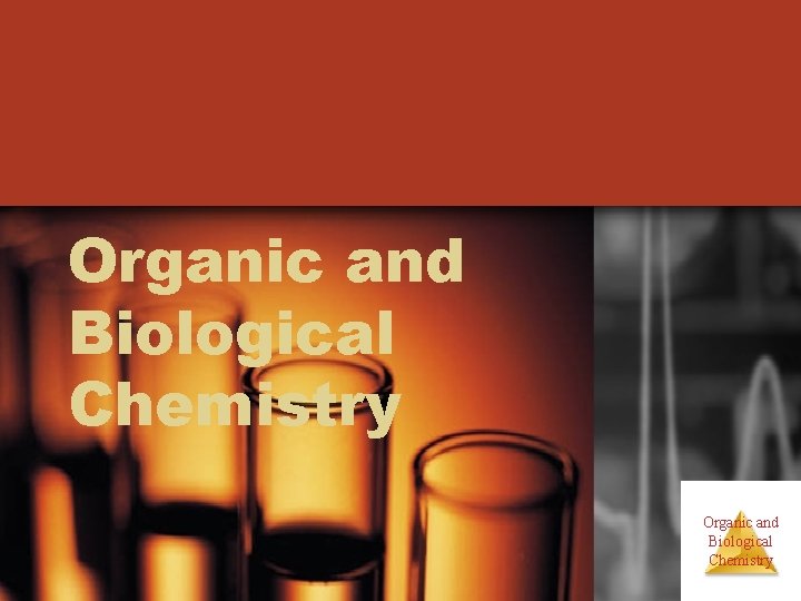 Organic and Biological Chemistry 