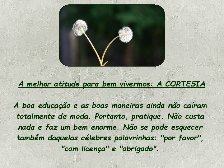 A melhor atitude para bem vivermos: A CORTESIA A boa educação e as boas