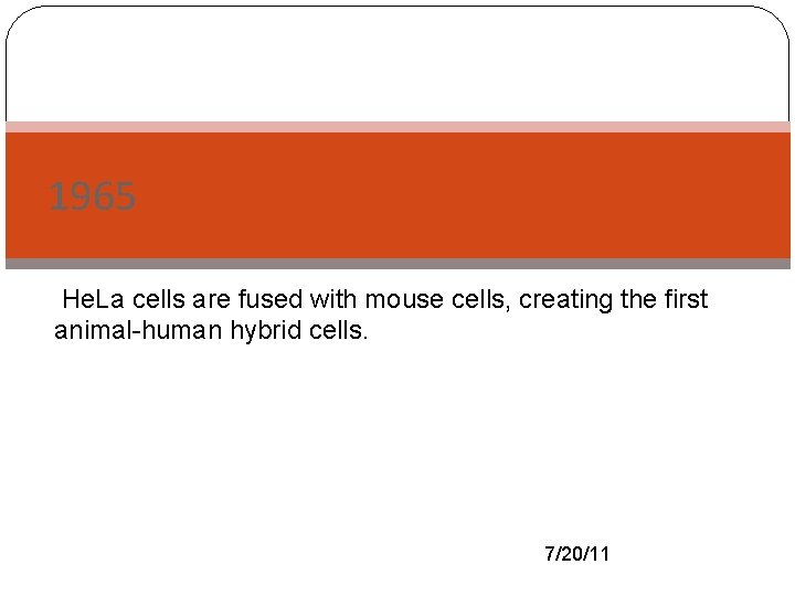 1965 He. La- cells are fused with mouse cells, creating the first animal-human hybrid