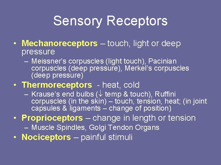 Sensory Receptors • Mechanoreceptors – touch, light or deep pressure – Meissner’s corpuscles (light