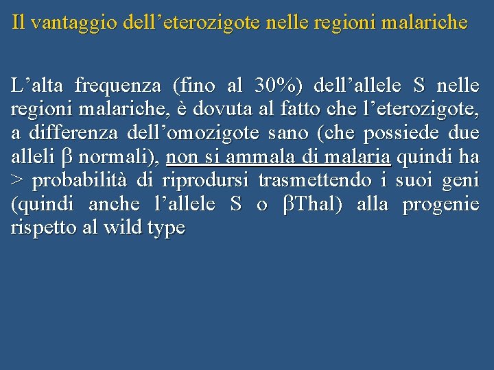 Il vantaggio dell’eterozigote nelle regioni malariche L’alta frequenza (fino al 30%) dell’allele S nelle