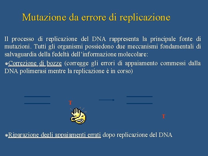 Mutazione da errore di replicazione Il processo di replicazione del DNA rappresenta la principale