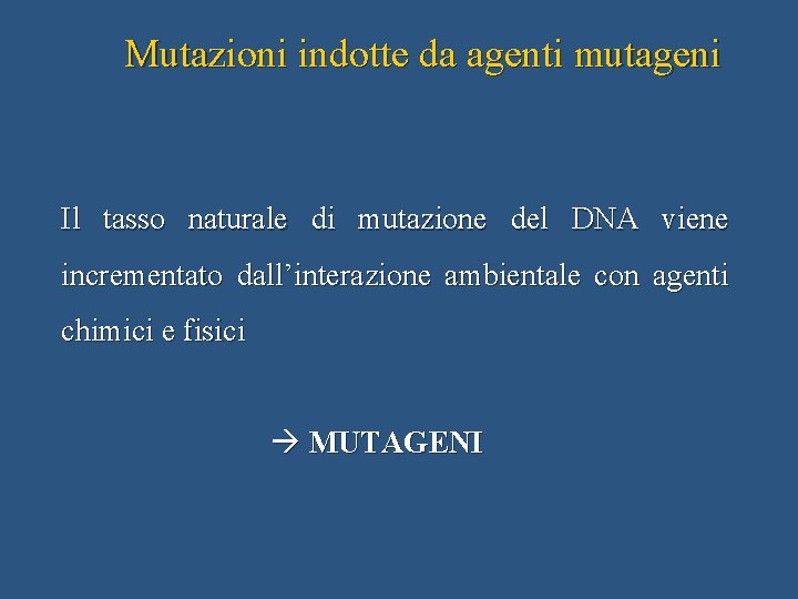 Mutazioni indotte da agenti mutageni Il tasso naturale di mutazione del DNA viene incrementato