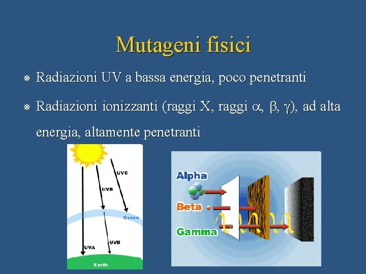 Mutageni fisici ¯ Radiazioni UV a bassa energia, poco penetranti ¯ Radiazionizzanti (raggi X,