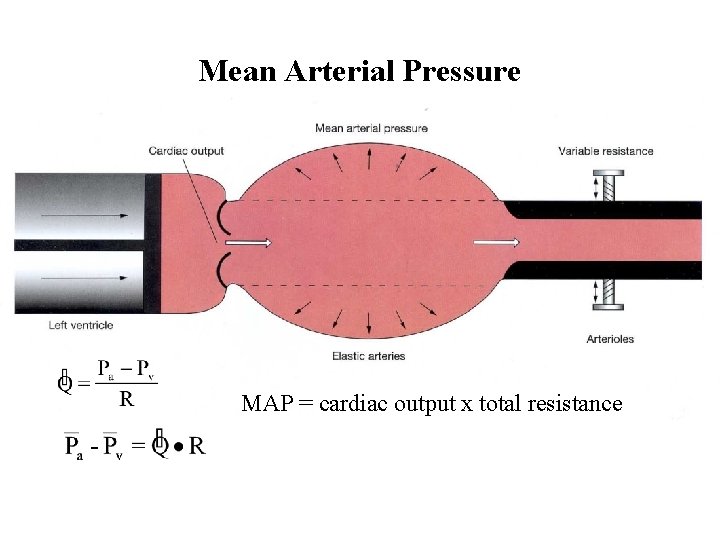 Mean Arterial Pressure MAP = cardiac output x total resistance 