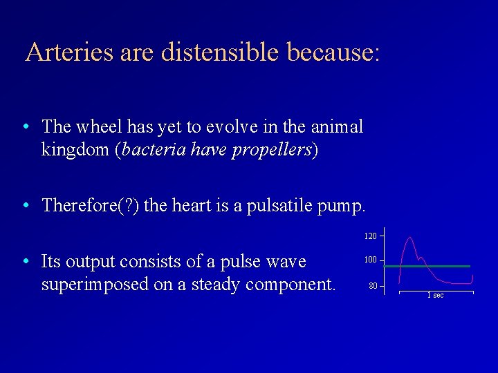 Arteries are distensible because: • The wheel has yet to evolve in the animal