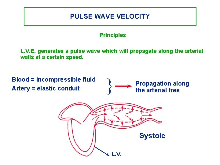 PULSE WAVE VELOCITY Principles L. V. E. generates a pulse wave which will propagate