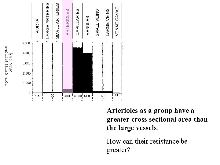 Arterioles as a group have a greater cross sectional area than the large vessels.