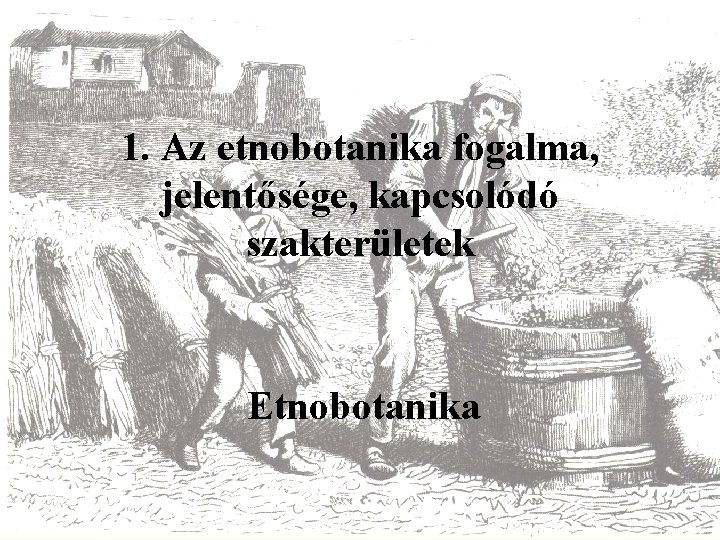 1. Az etnobotanika fogalma, jelentősége, kapcsolódó szakterületek Etnobotanika 