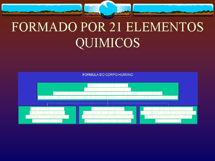 FORMADO POR 21 ELEMENTOS QUIMICOS 