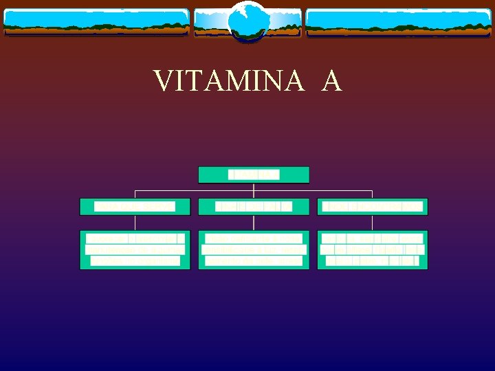 VITAMINA A 