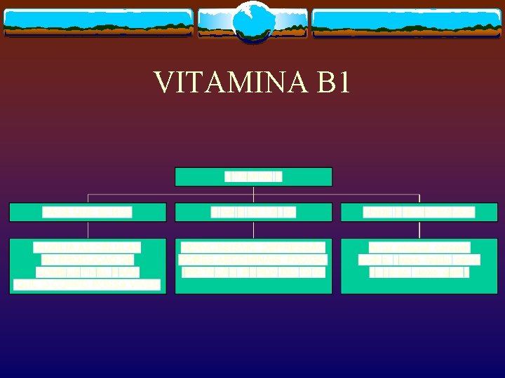 VITAMINA B 1 