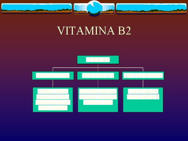 VITAMINA B 2 