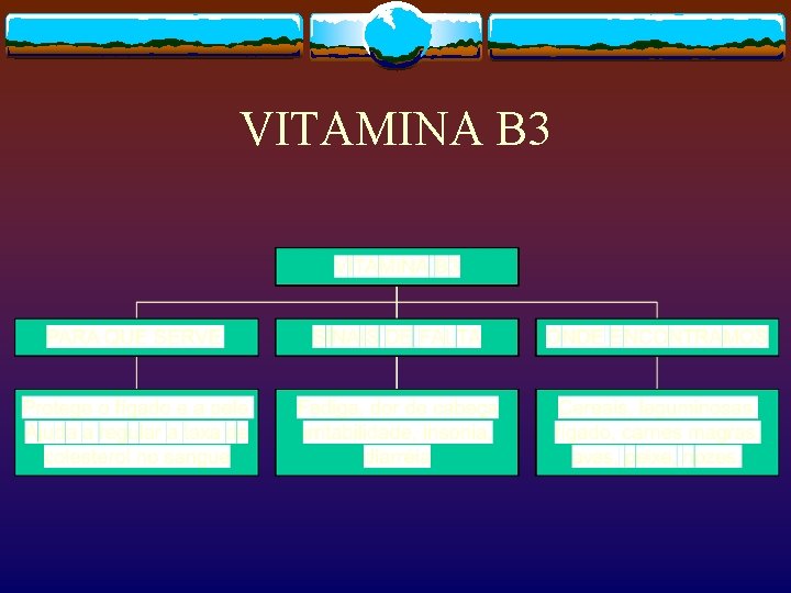 VITAMINA B 3 