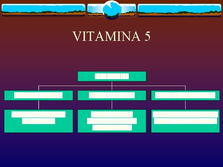 VITAMINA 5 