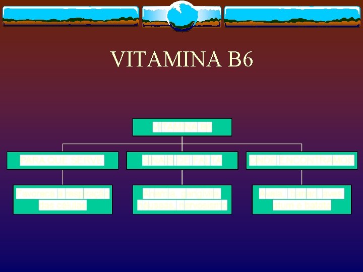 VITAMINA B 6 