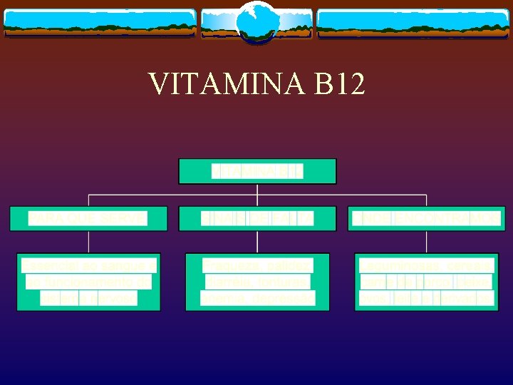 VITAMINA B 12 
