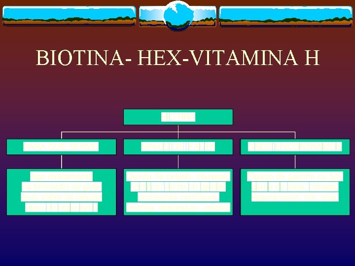 BIOTINA- HEX-VITAMINA H 