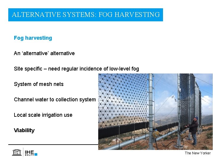 ALTERNATIVE SYSTEMS: FOG HARVESTING Fog harvesting An ‘alternative’ alternative Site specific – need regular