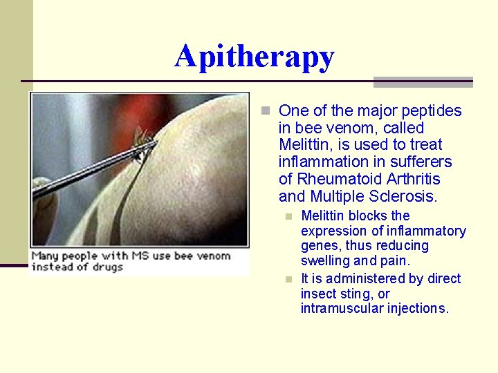 Apitherapy n One of the major peptides in bee venom, called Melittin, is used