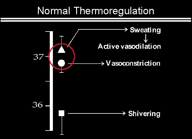Normal Thermoregulation 