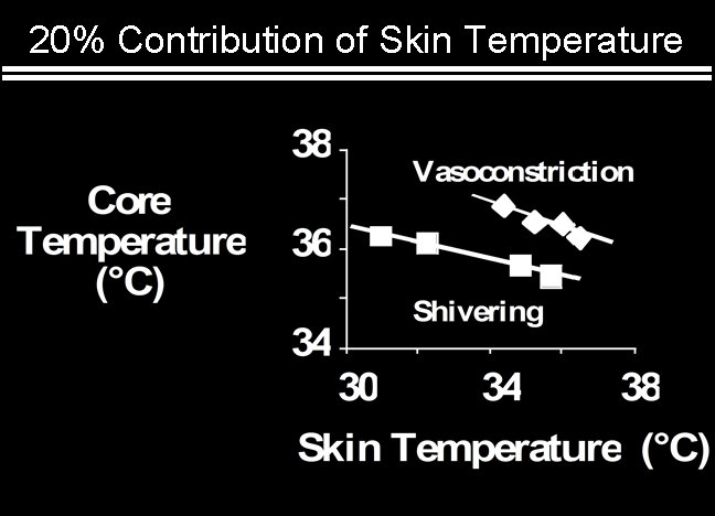 20% Contribution of Skin Temperature 