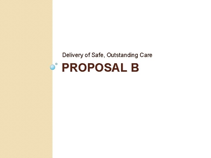Delivery of Safe, Outstanding Care PROPOSAL B 