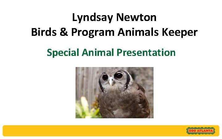 Lyndsay Newton Birds & Program Animals Keeper Special Animal Presentation 