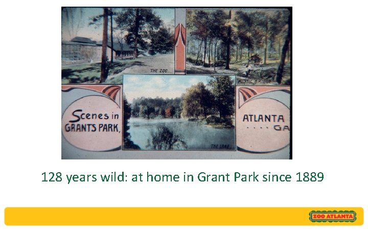128 years wild: at home in Grant Park since 1889 