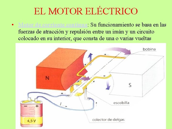 EL MOTOR ELÉCTRICO • Motor de corriente continua: Su funcionamiento se basa en las