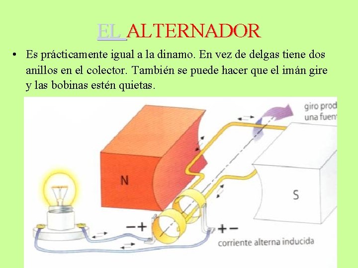 EL ALTERNADOR • Es prácticamente igual a la dinamo. En vez de delgas tiene