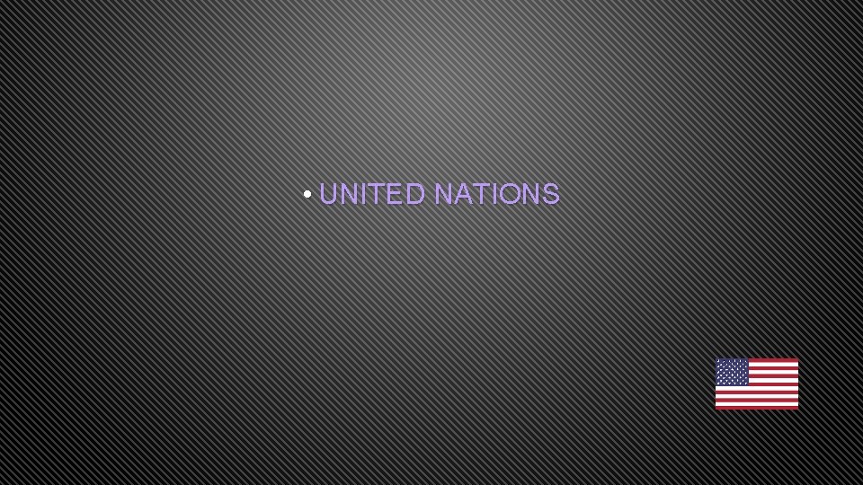  • UNITED NATIONS 